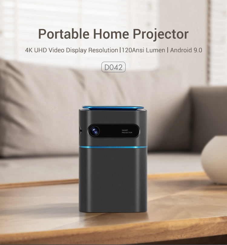 D042 Home Portable Projecto