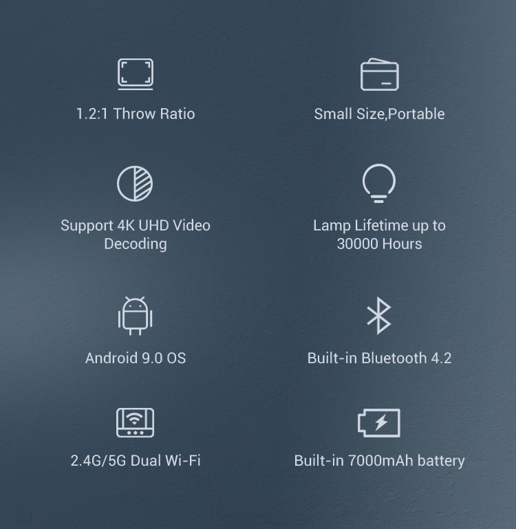 D042 Home Portable Projecto